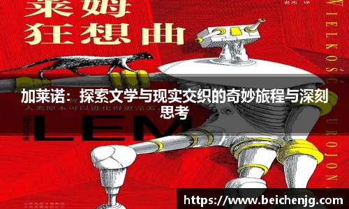 加莱诺：探索文学与现实交织的奇妙旅程与深刻思考