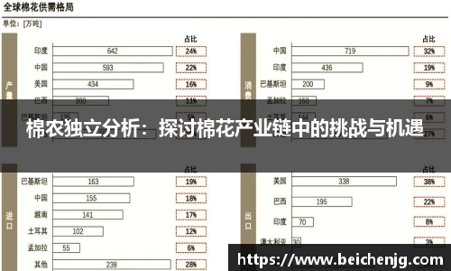 棉农独立分析：探讨棉花产业链中的挑战与机遇